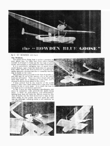 Blue Goose