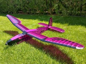 Lanzo's record holder