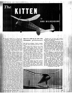 Kitten