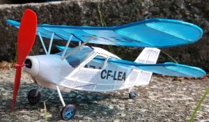 Lederlin 380L Flying Flea