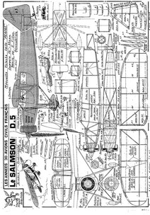 Salmson D.5