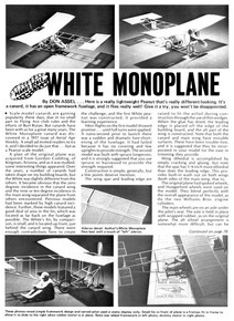 White monoplane