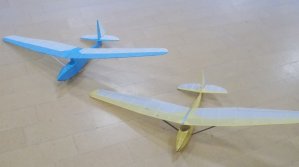 Peter Smart's Willow Wren